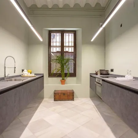 Genteel Tintes * Seville